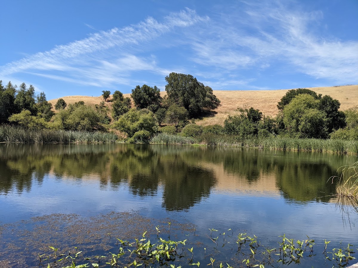 Garin Regional Park photo 5
