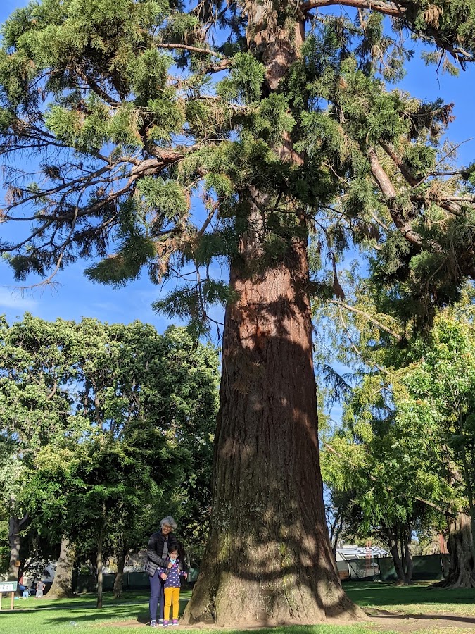 Washington Park photo 5