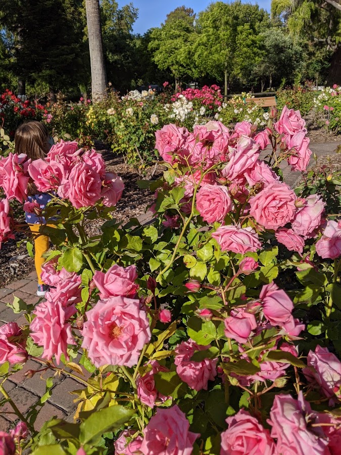 Washington Park photo 8