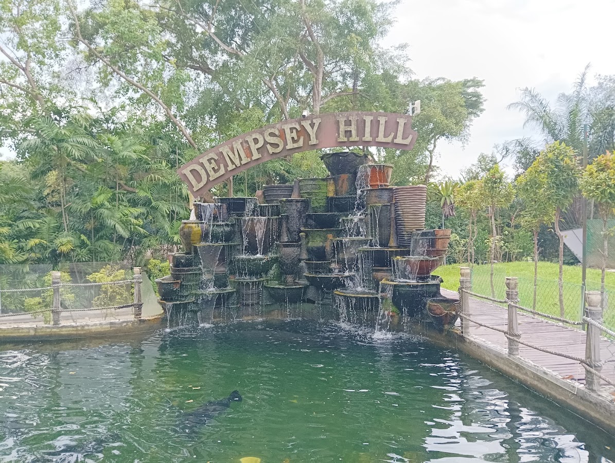 Dempsey Hill photo 5
