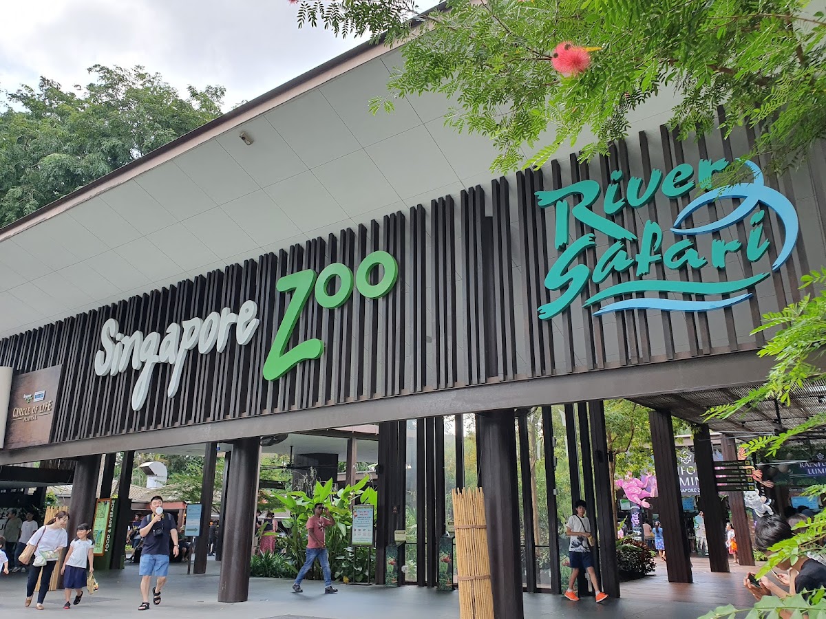 Singapore Zoo photo 7