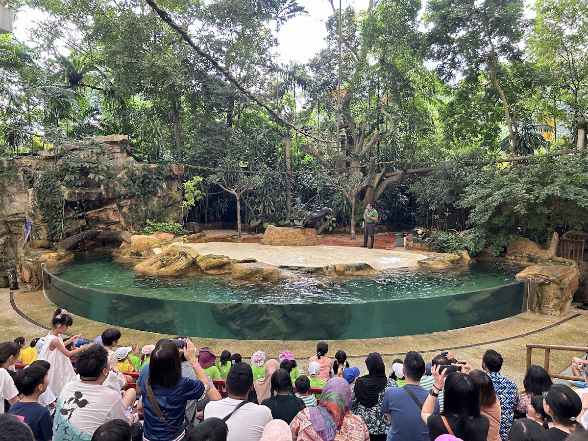 Singapore Zoo photo 10