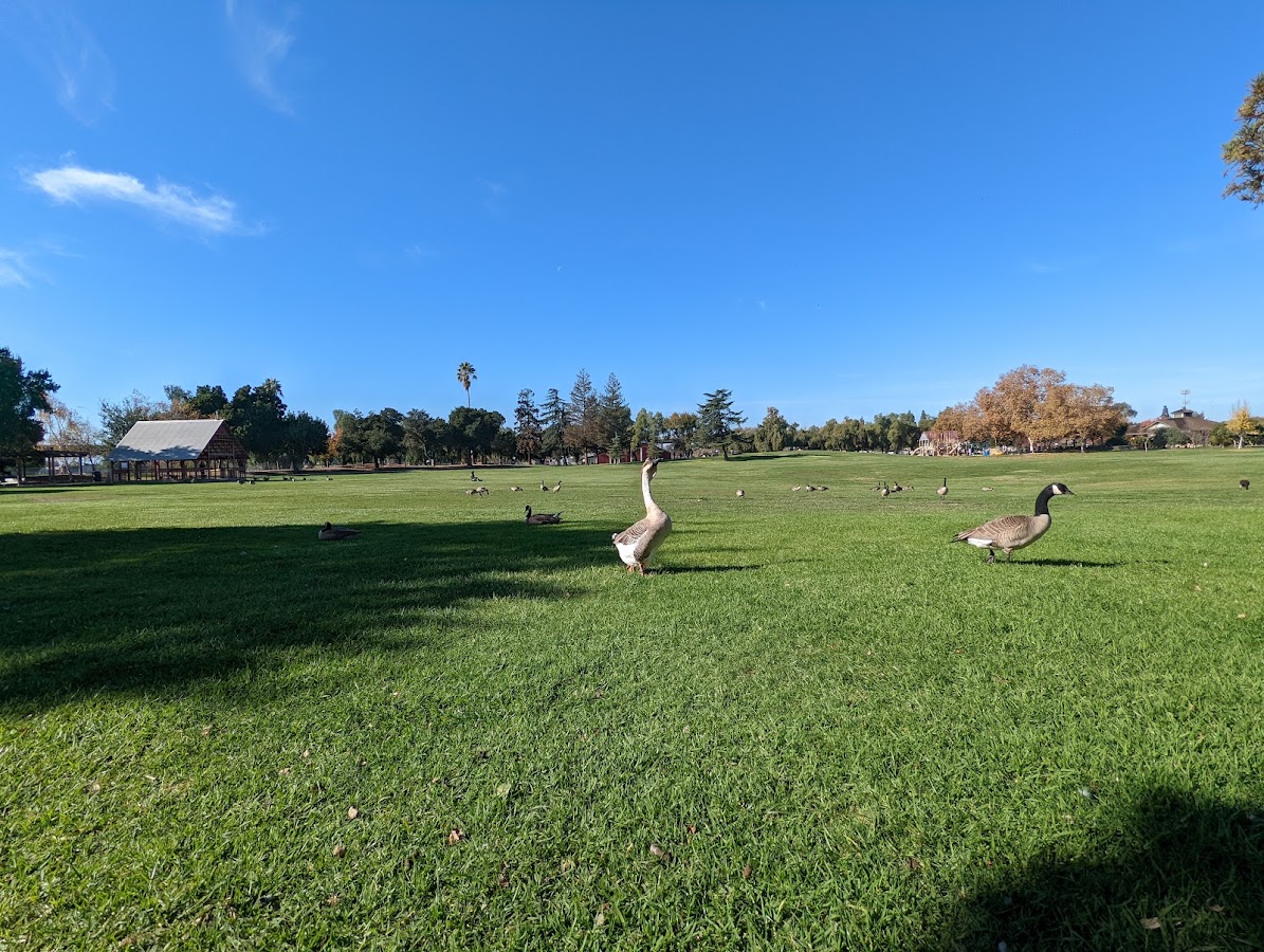 Emma Prusch Farm Park photo 6