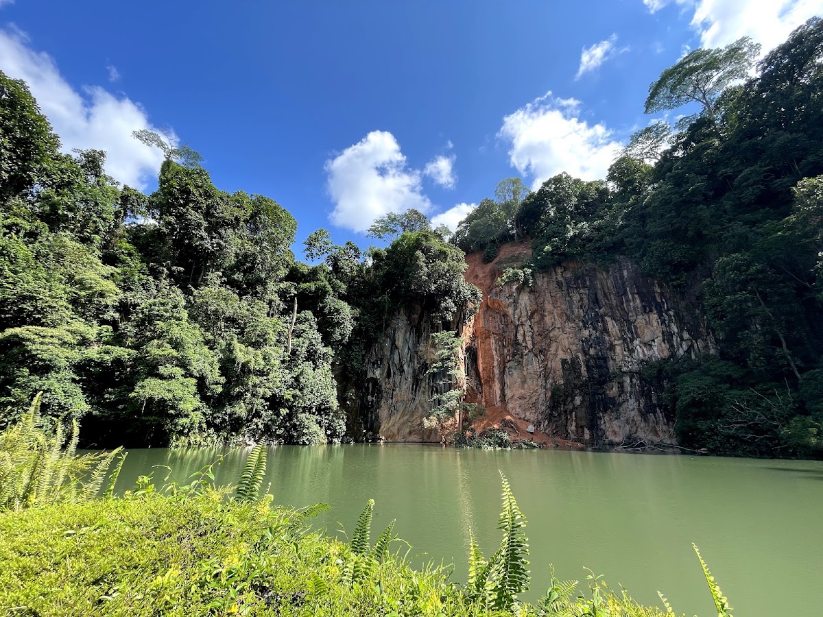 Bukit Batok Nature Park