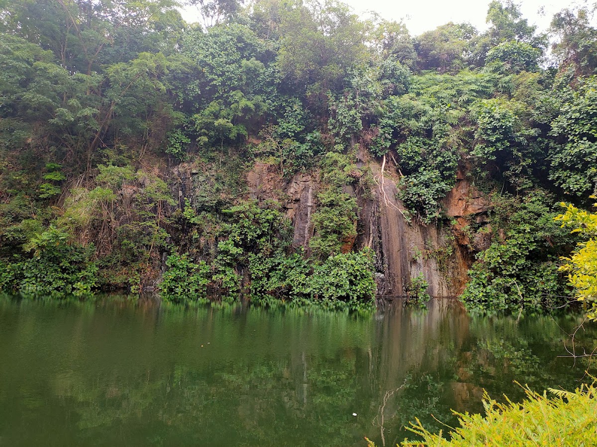 Bukit Batok Nature Park photo 2