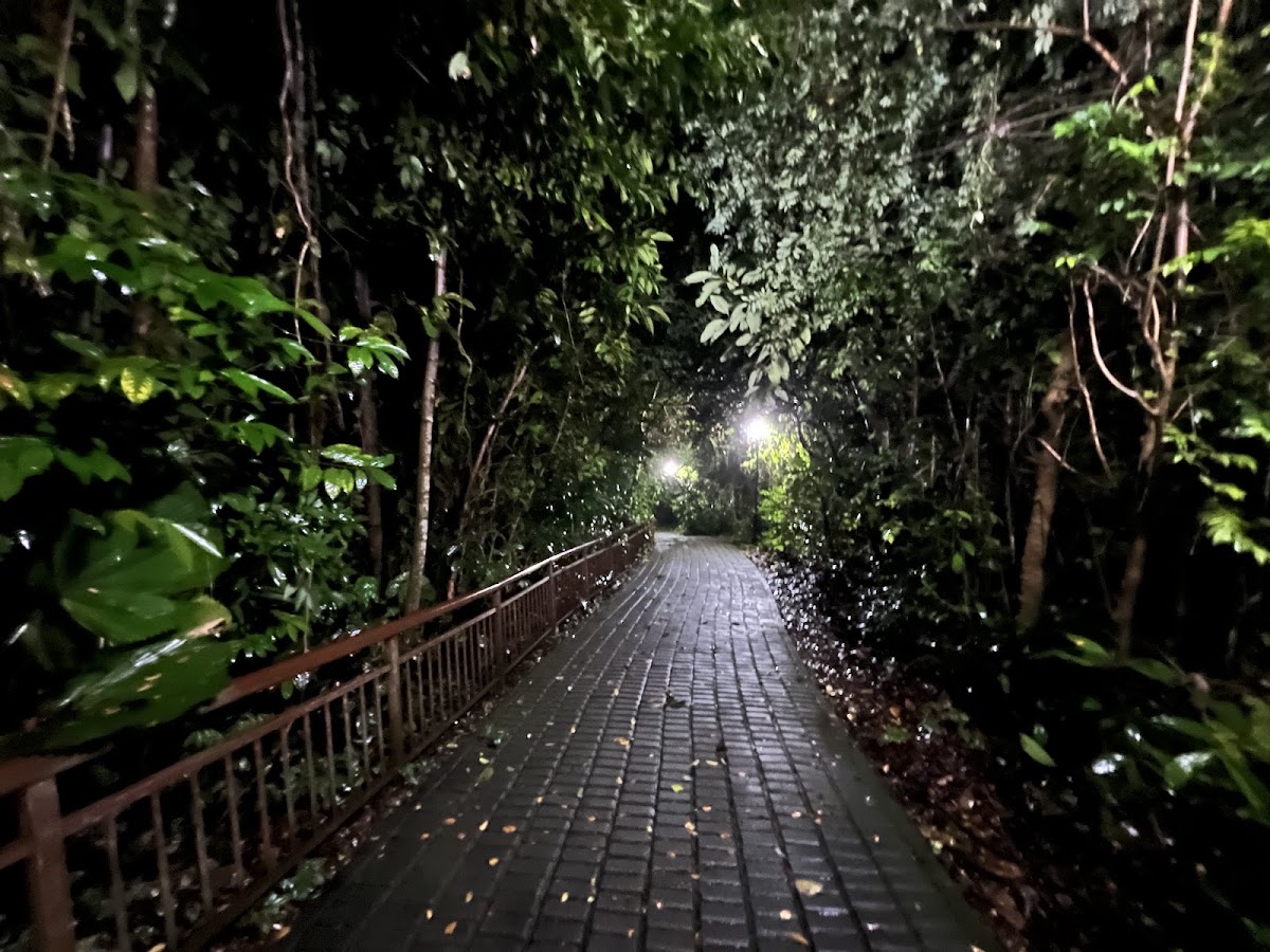 Bukit Batok Nature Park photo 3