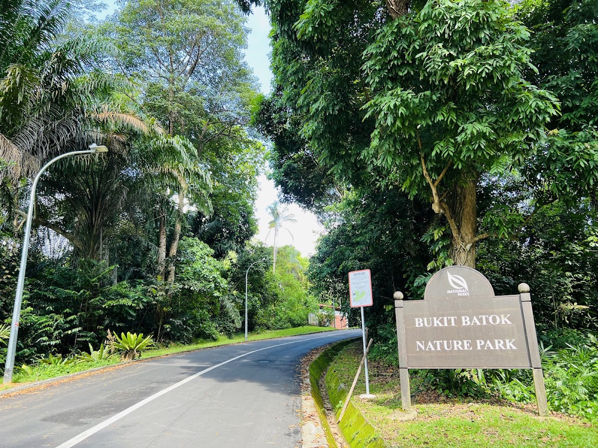 Bukit Batok Nature Park photo 5