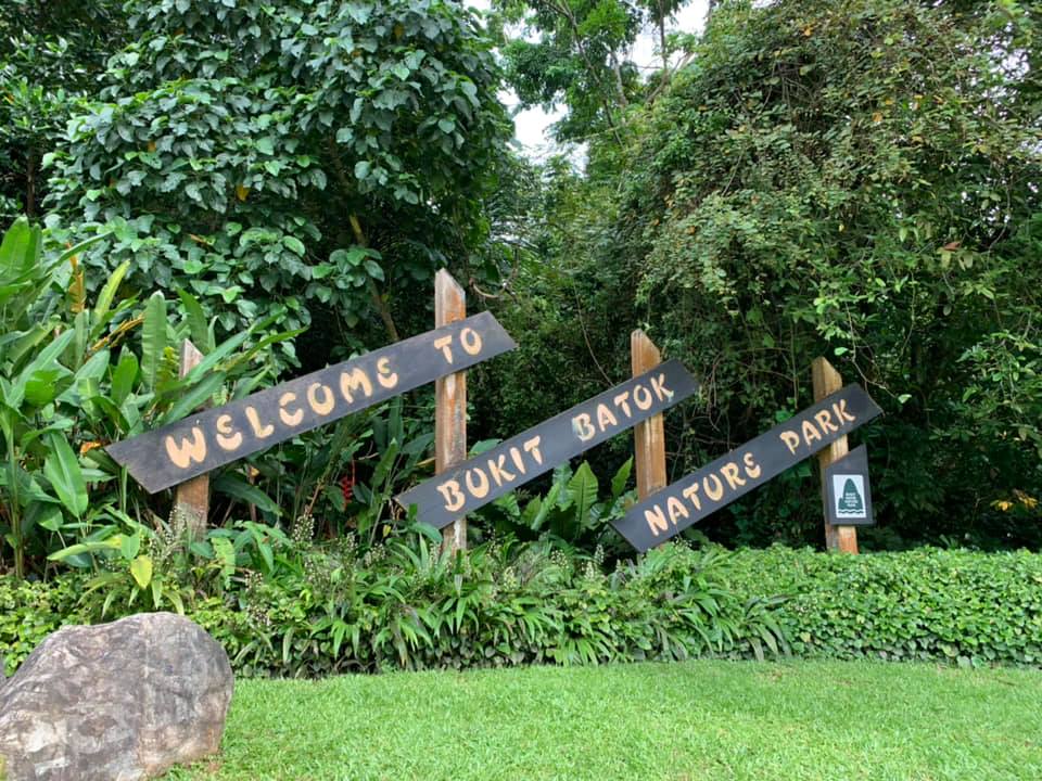 Bukit Batok Nature Park photo 8