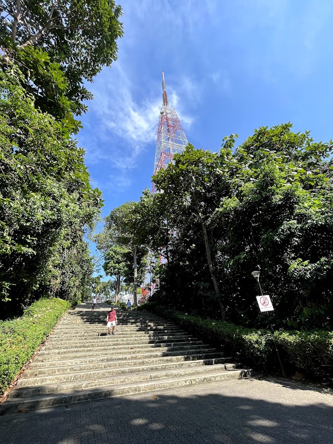 Bukit Batok Nature Park photo 9