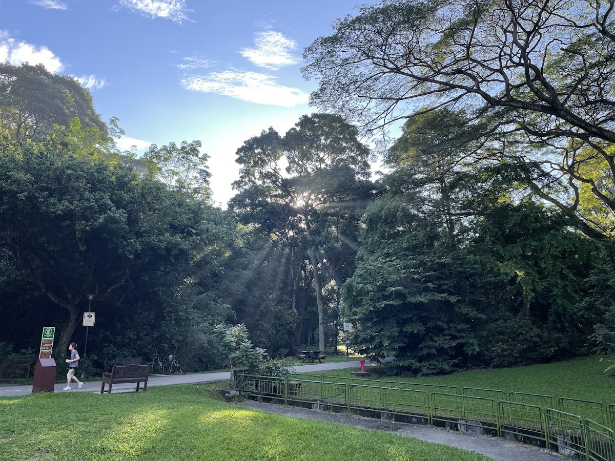 Bukit Batok Nature Park photo 10