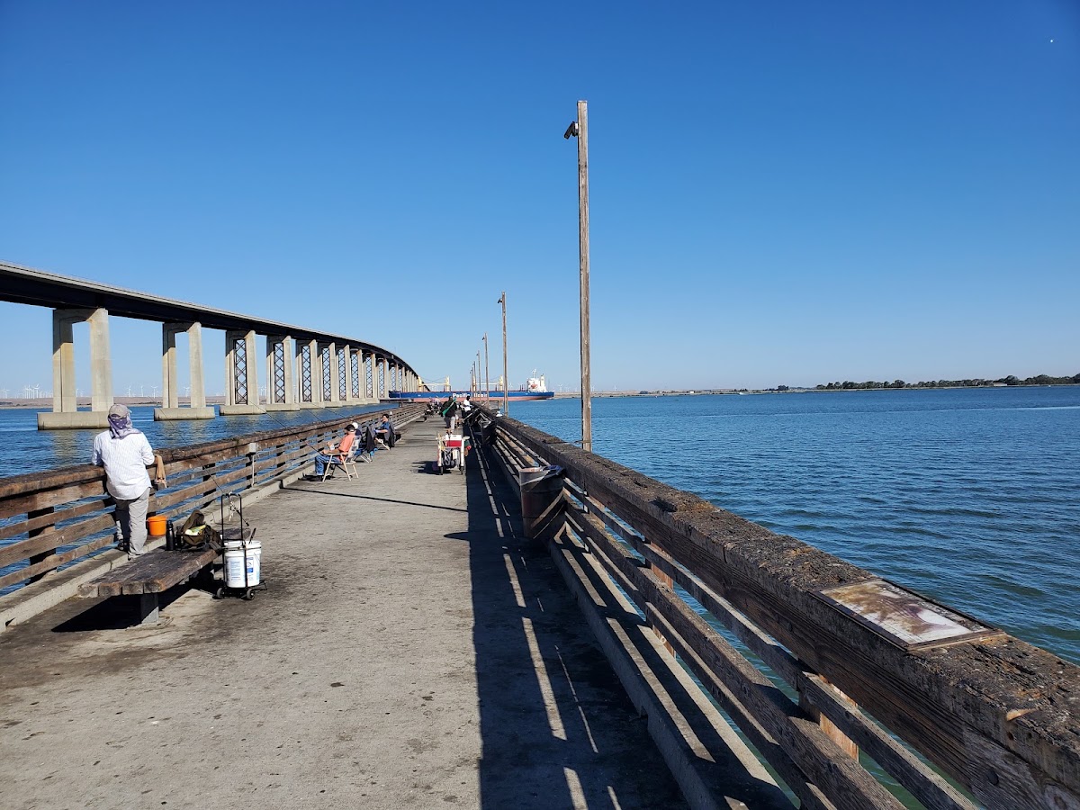 Antioch/Oakley Regional Shoreline photo 2