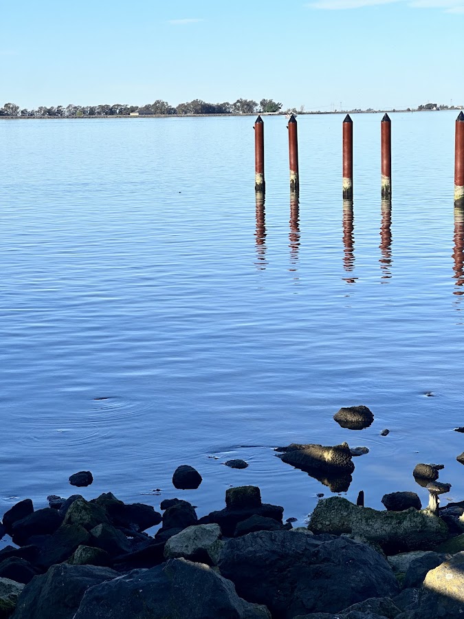 Antioch/Oakley Regional Shoreline photo 3