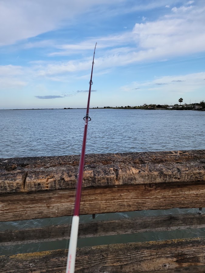 Antioch/Oakley Regional Shoreline photo 5