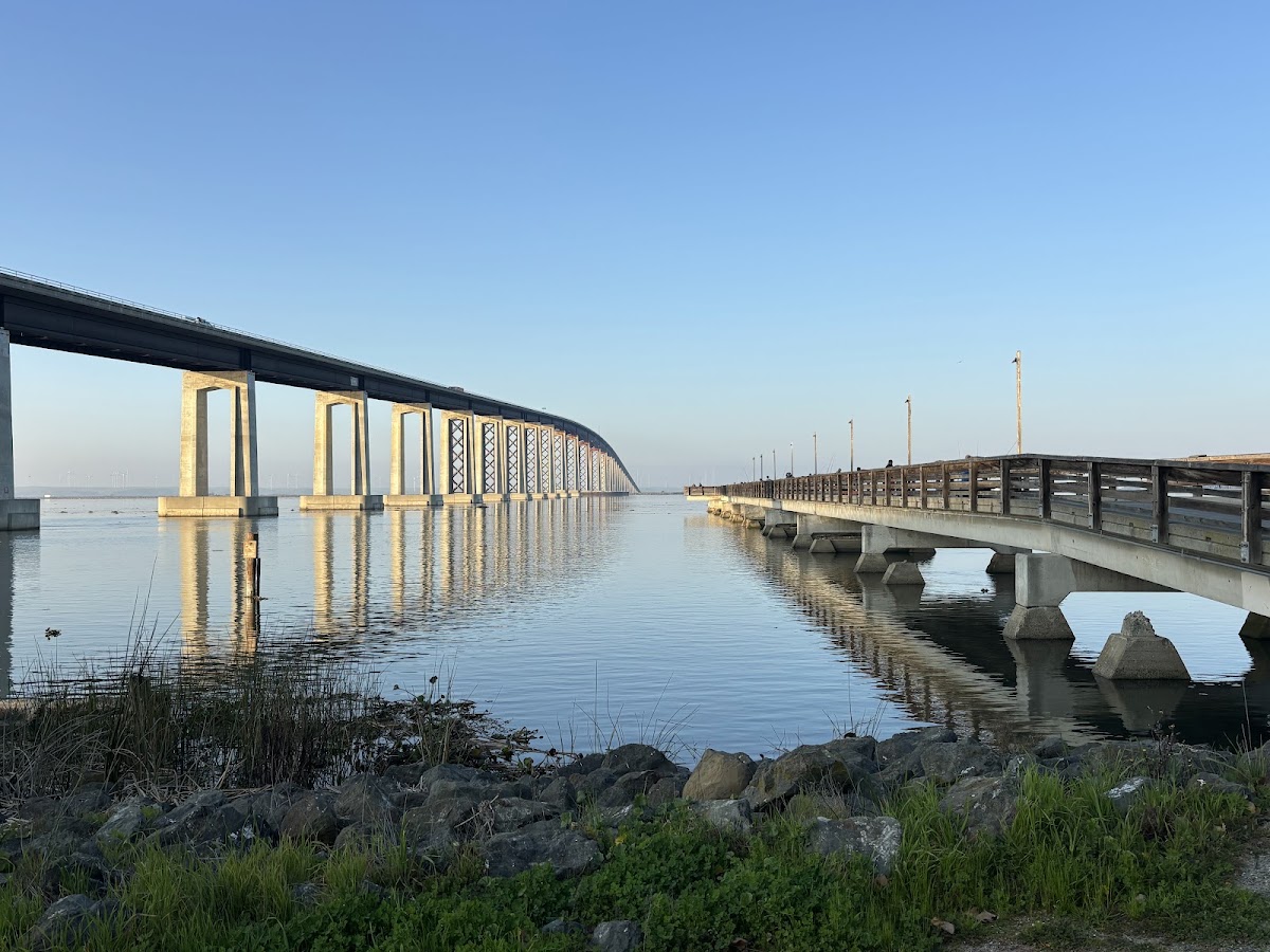 Antioch/Oakley Regional Shoreline photo 7