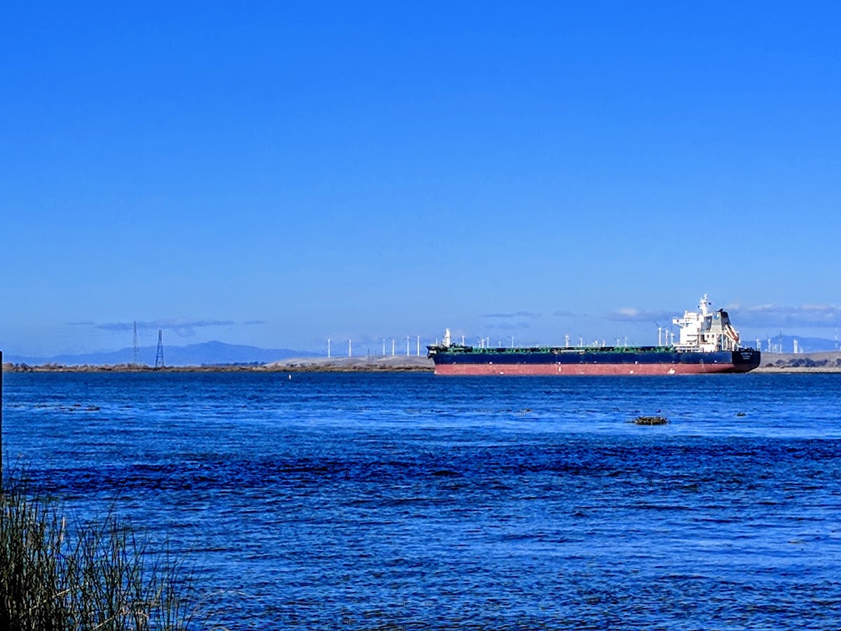 Antioch/Oakley Regional Shoreline photo 10