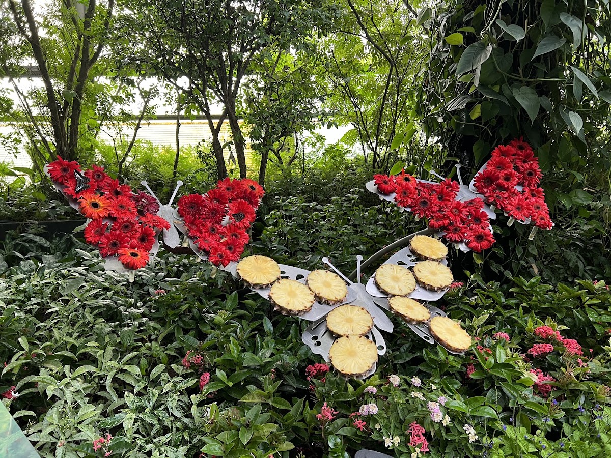 Butterfly Garden photo 2