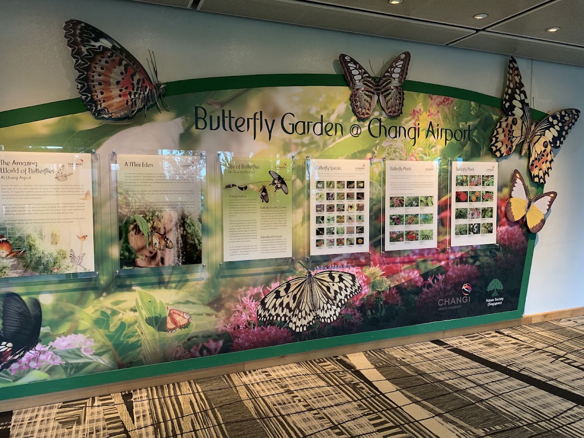 Butterfly Garden photo 4