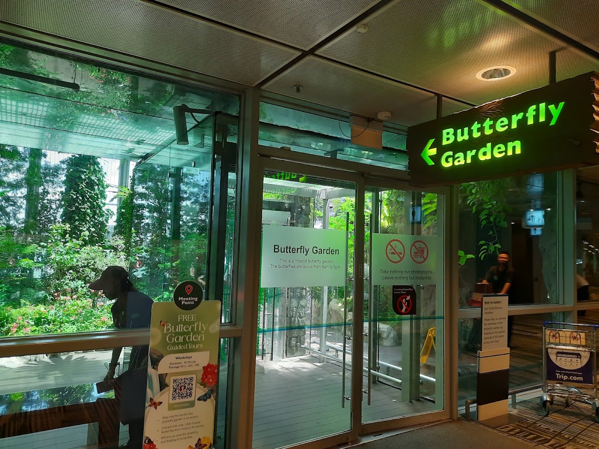 Butterfly Garden photo 7
