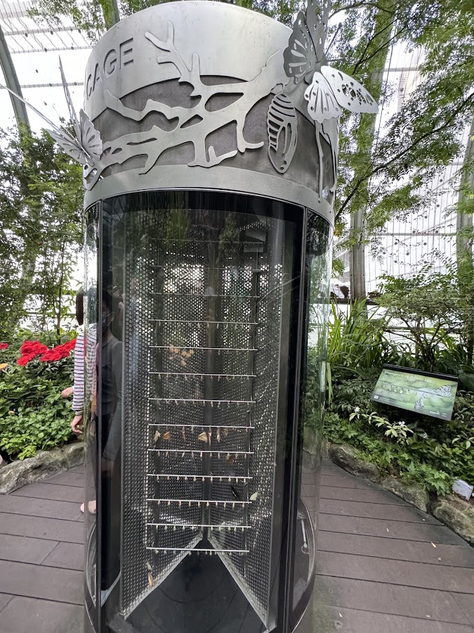 Butterfly Garden photo 10