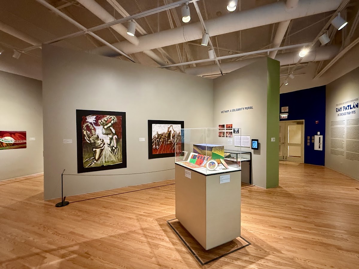 National Museum of Mexican Art photo 3