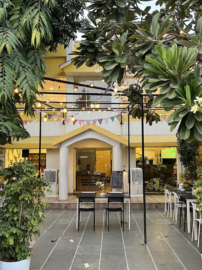 Crazy Plant Lady Café photo 5