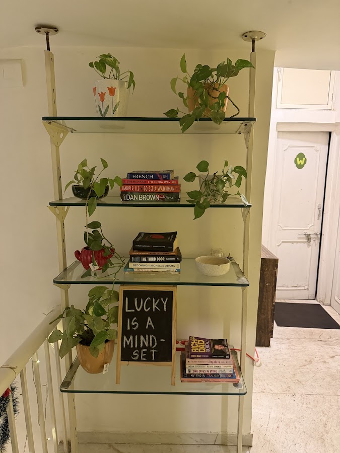 Crazy Plant Lady Café photo 8