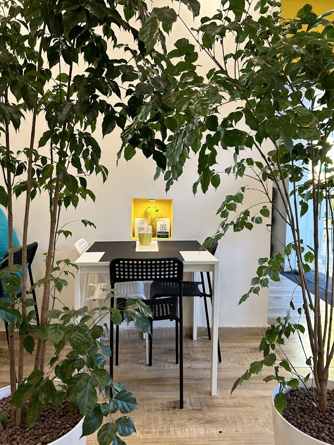 Crazy Plant Lady Café photo 9