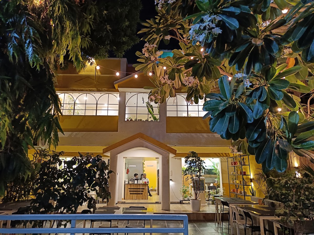 Crazy Plant Lady Café photo 10
