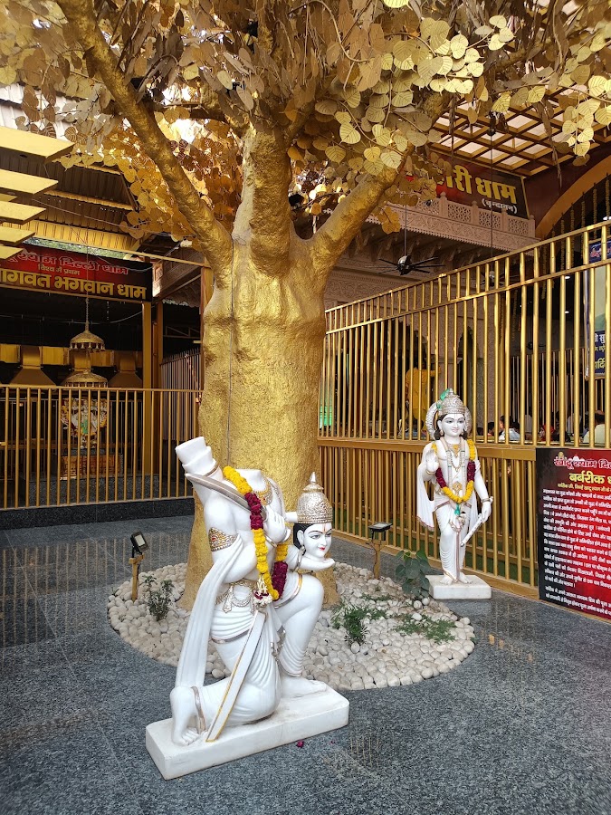 Shree Khatu Shyam Mandir, Zindpur Delhi photo 7
