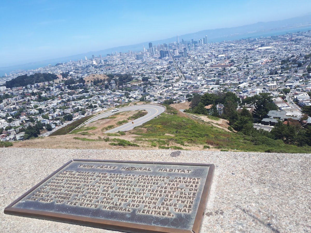 Twin Peaks photo 5