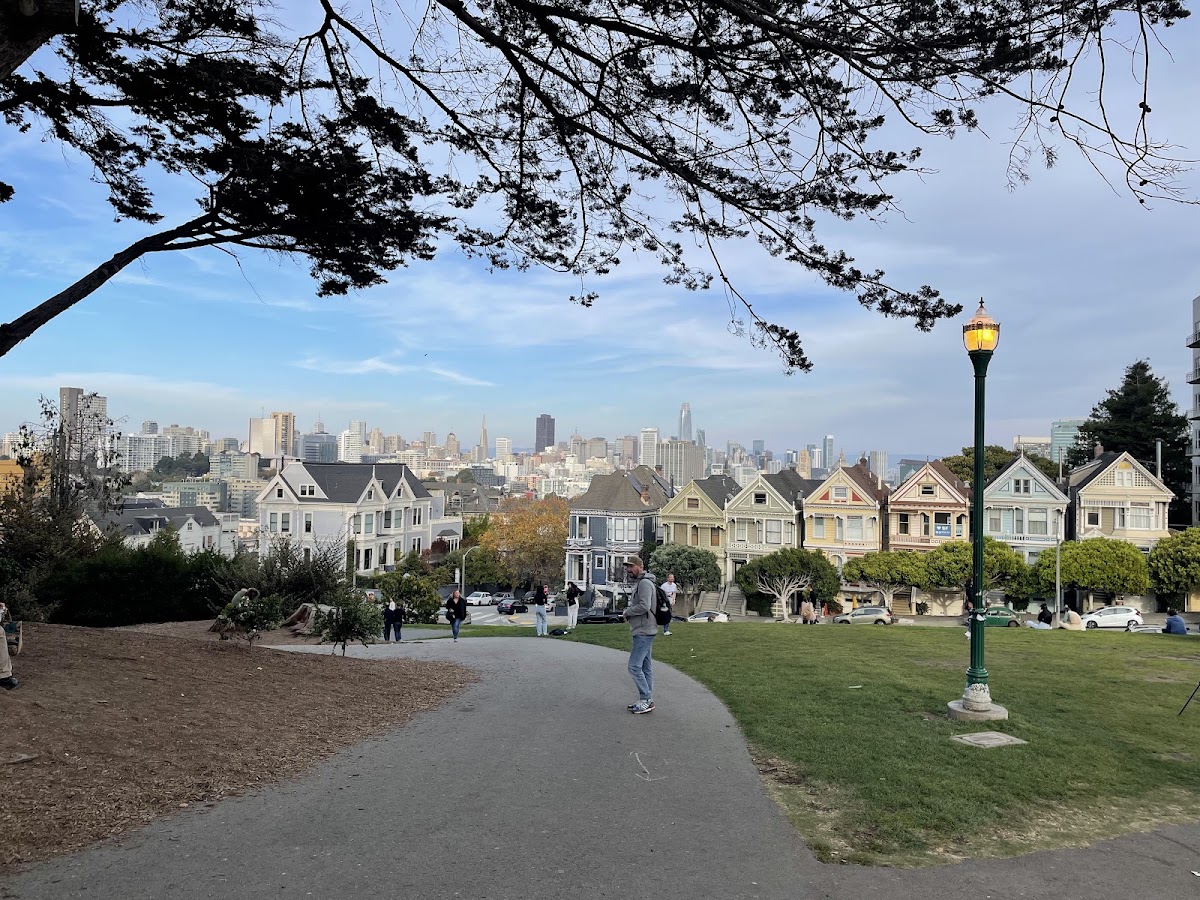 The Painted Ladies photo 5