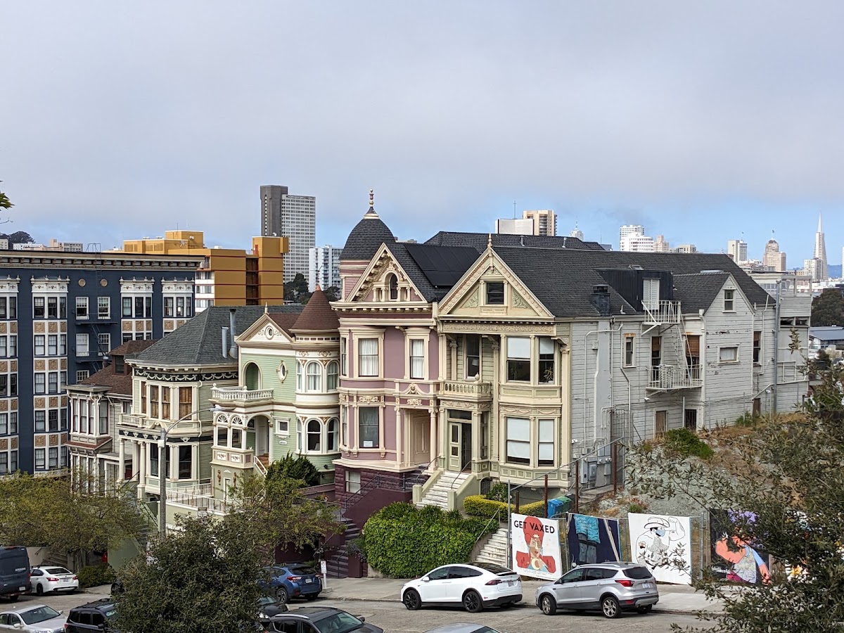 The Painted Ladies photo 6