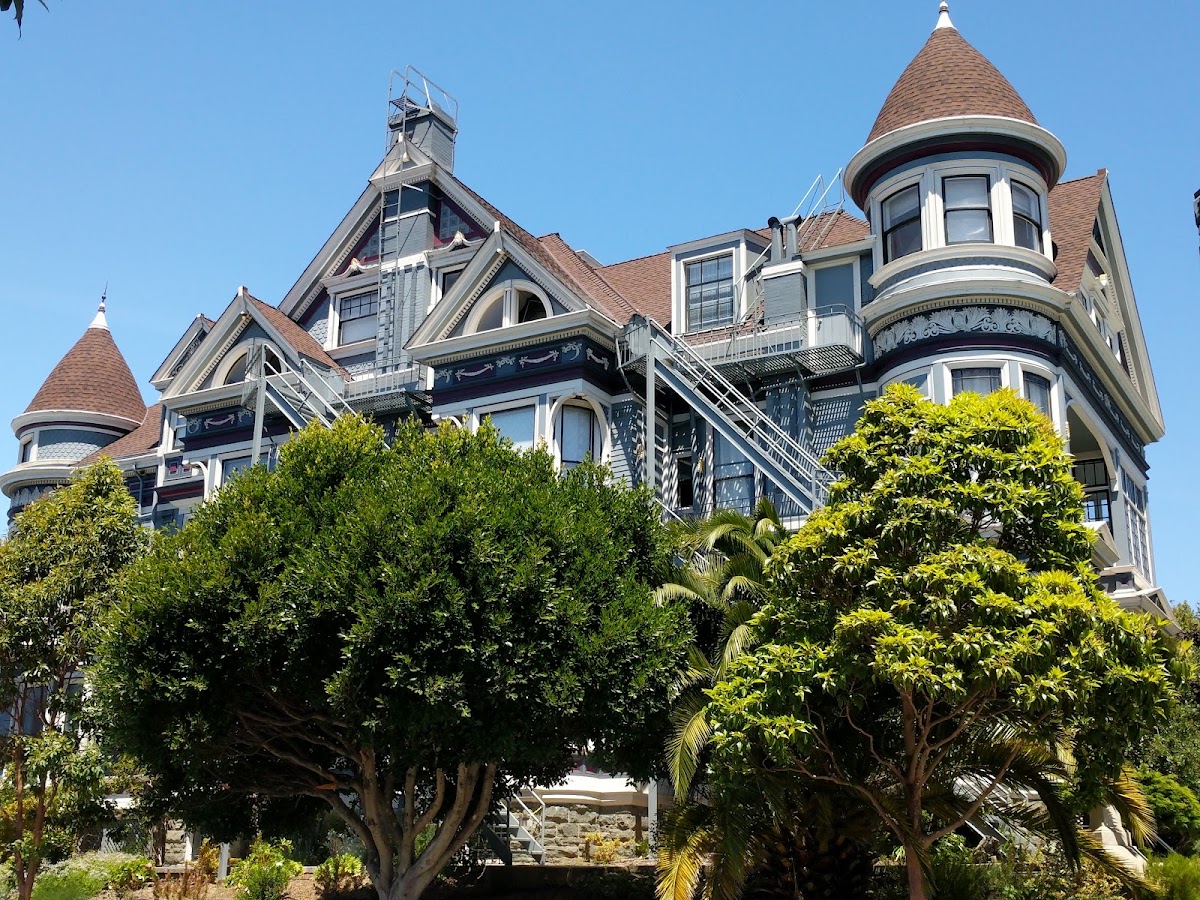 The Painted Ladies photo 9