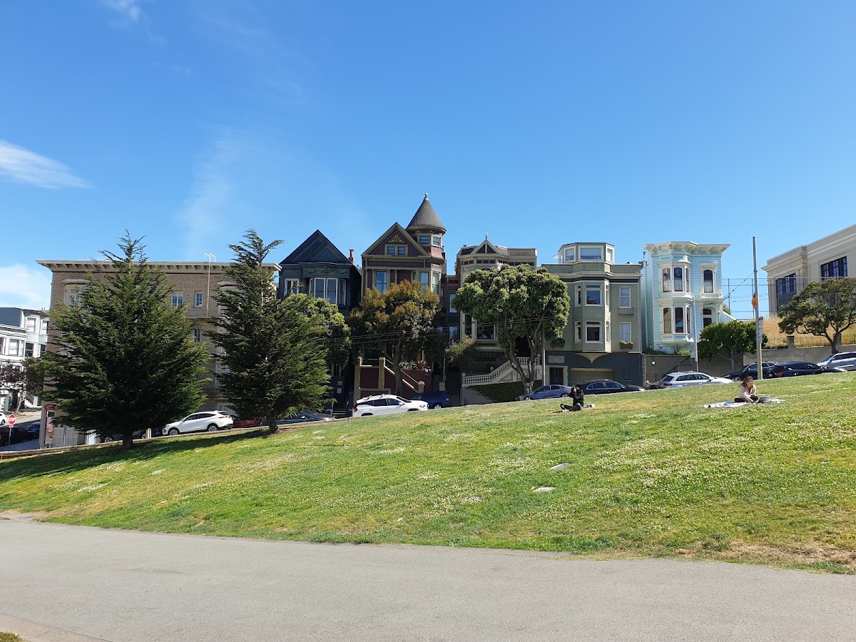 The Painted Ladies photo 10