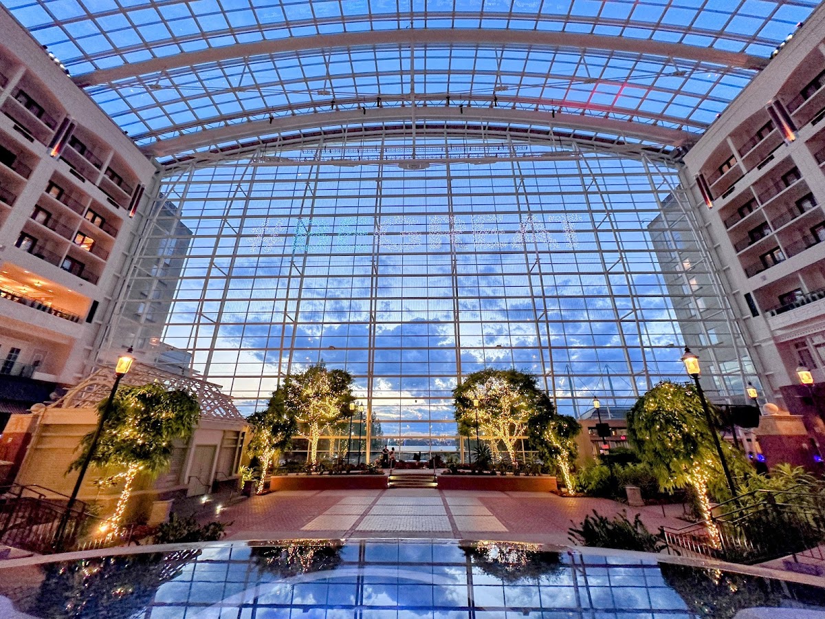 Gaylord National Resort & Convention Center photo 5