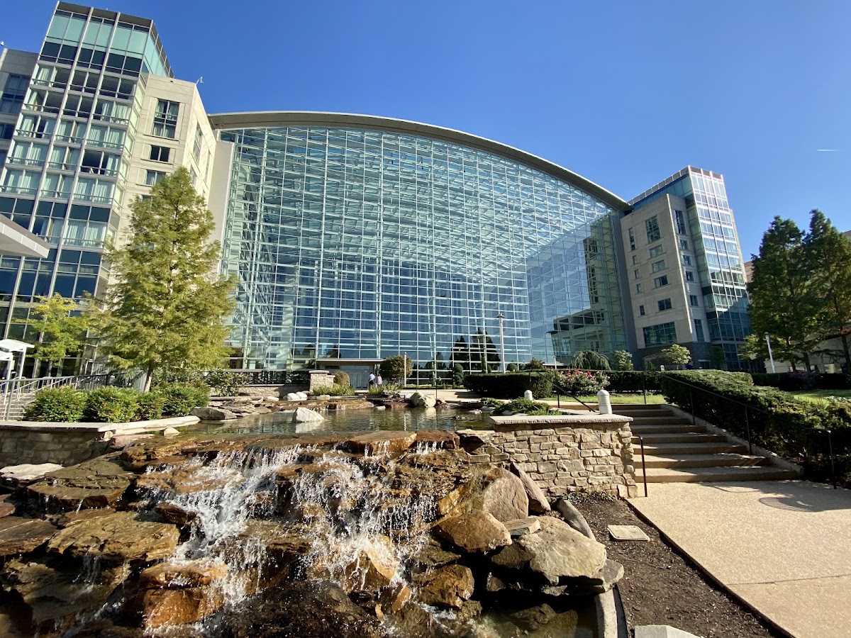 Gaylord National Resort & Convention Center photo 10
