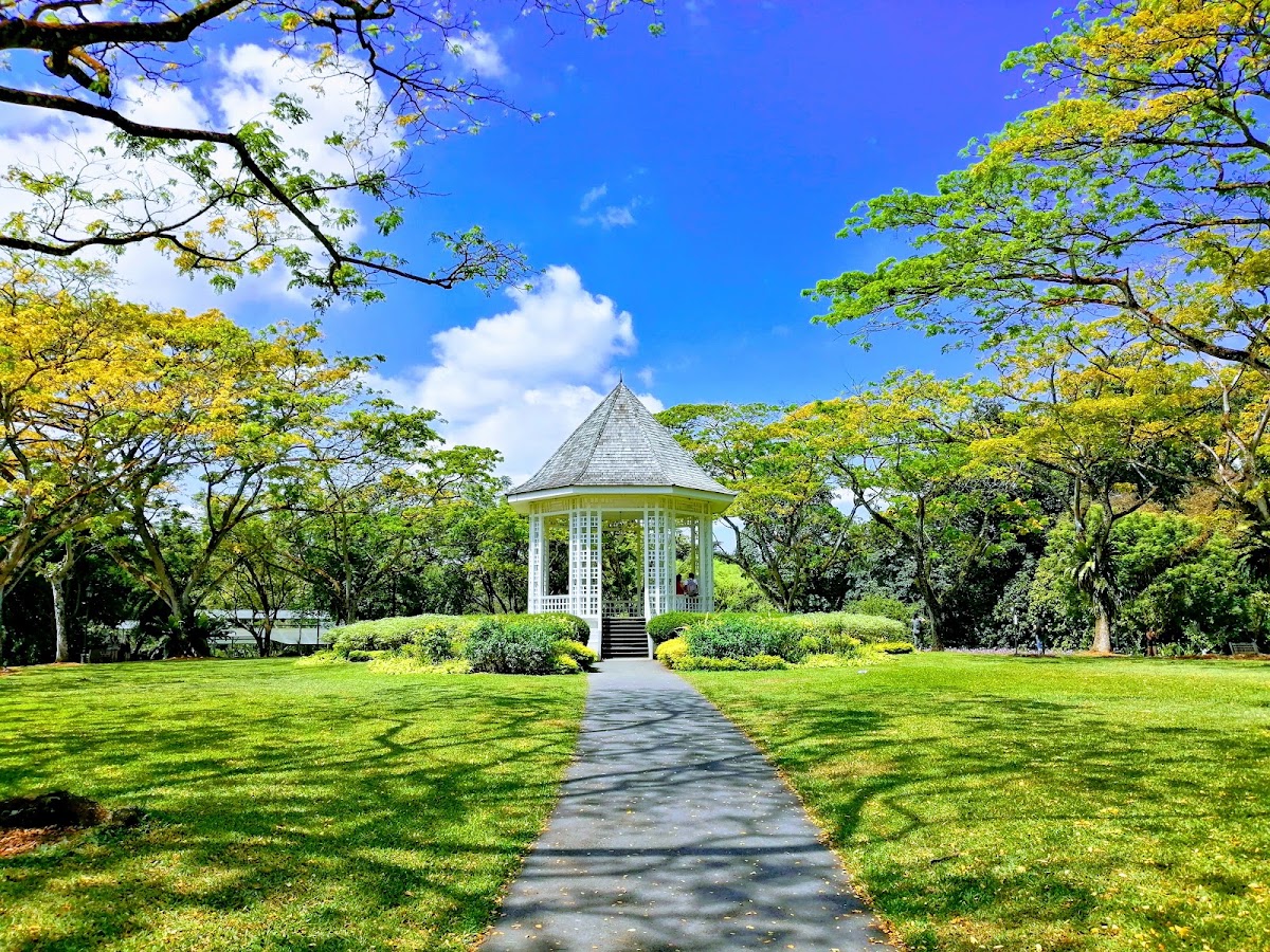 Singapore Botanic Gardens photo 2