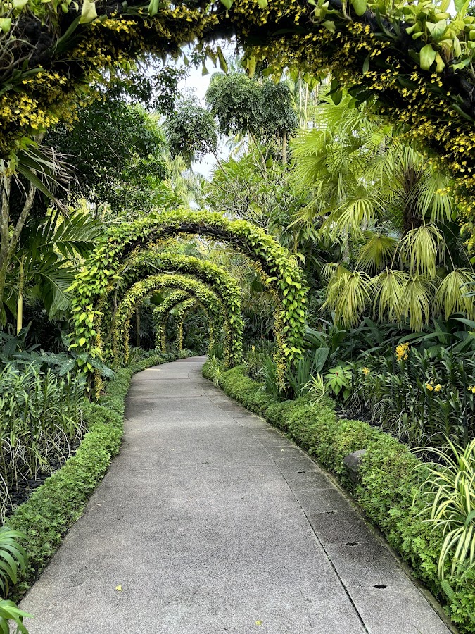 Singapore Botanic Gardens photo 3