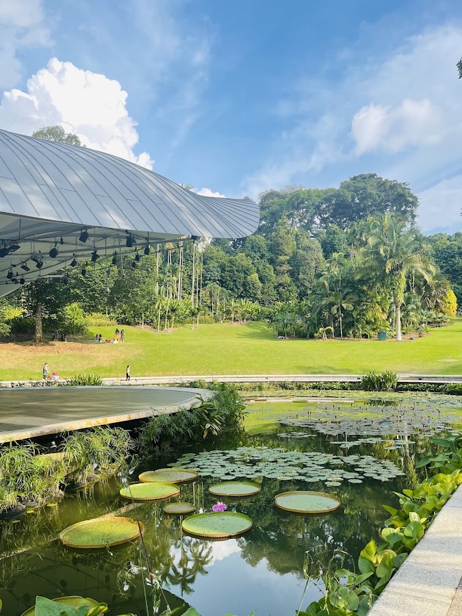 Singapore Botanic Gardens photo 4