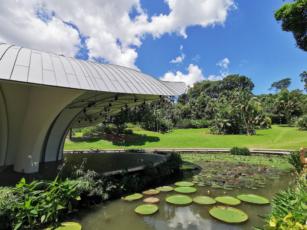 Singapore Botanic Gardens photo 5