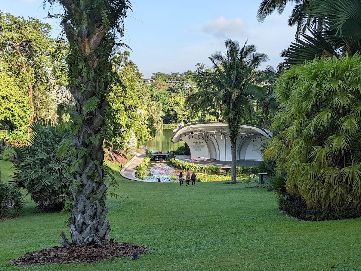 Singapore Botanic Gardens photo 6