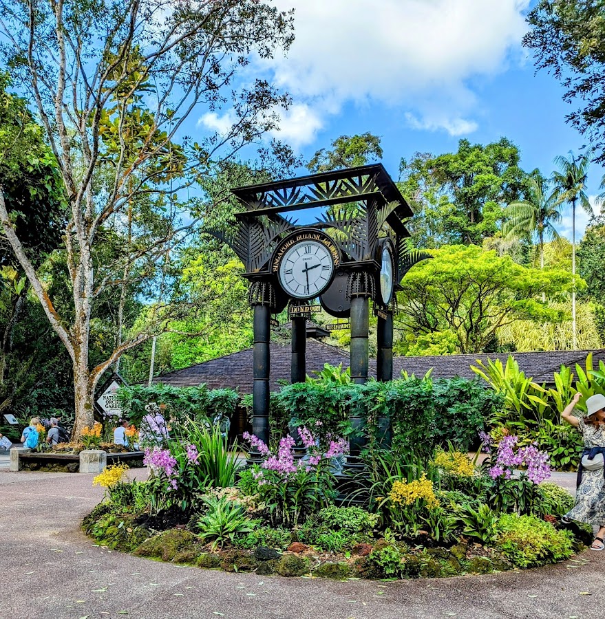 Singapore Botanic Gardens photo 7