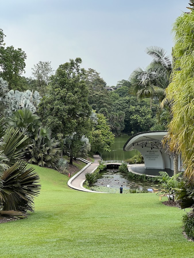 Singapore Botanic Gardens photo 8