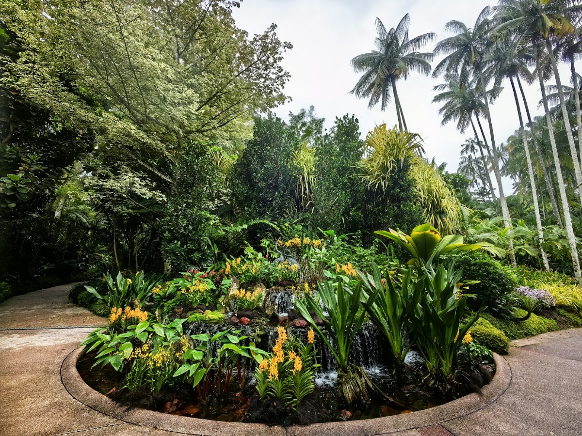 Singapore Botanic Gardens photo 9