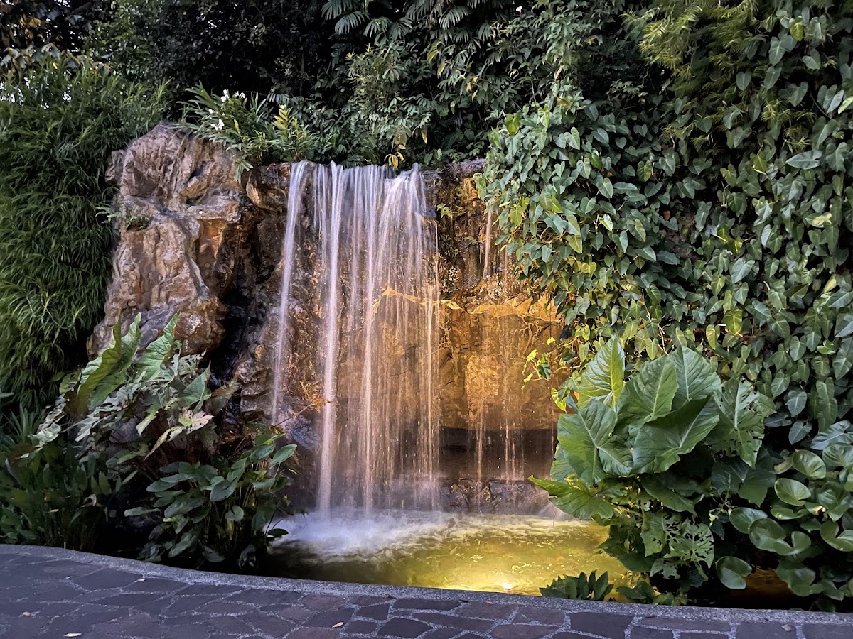 Singapore Botanic Gardens photo 10