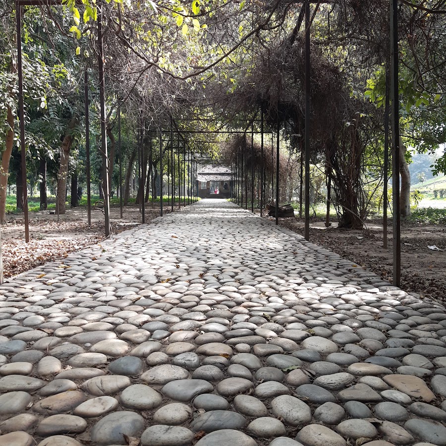 Roshanara Garden photo 5