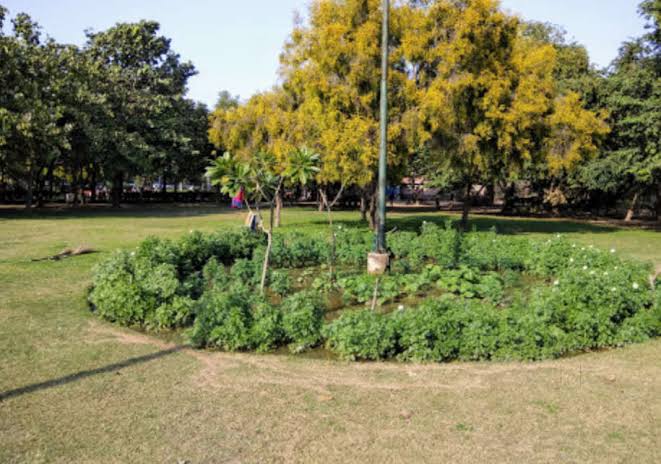 Pitampura District Park