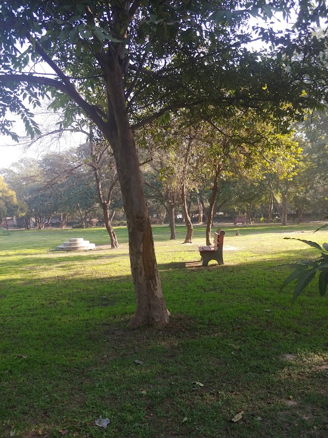 Pitampura District Park photo 6