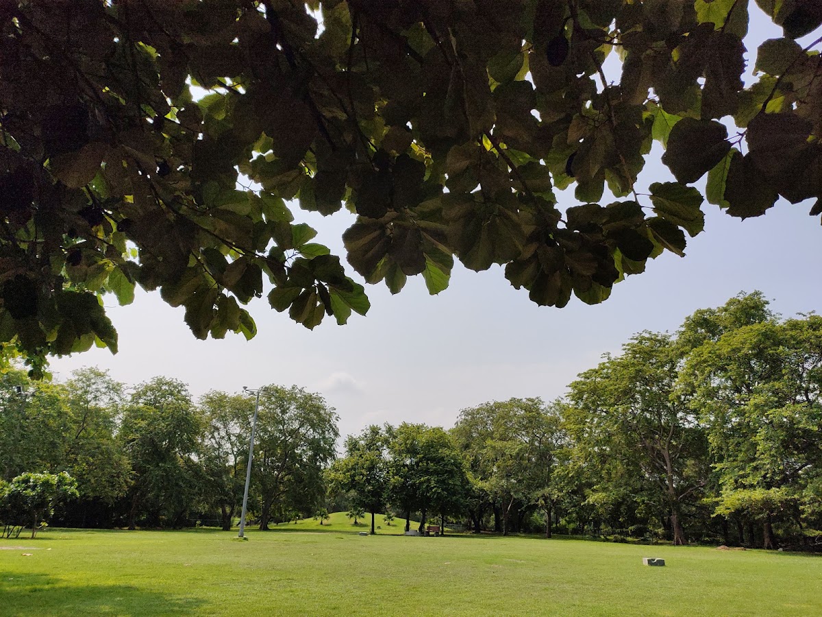 Pitampura District Park photo 9