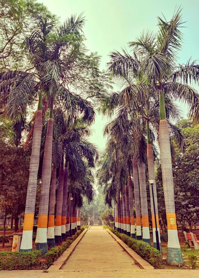 Swarna Jayanti Park photo 2